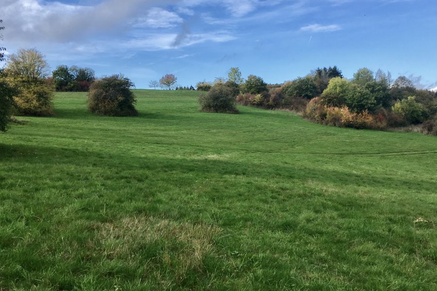 Ehlhalten Natur